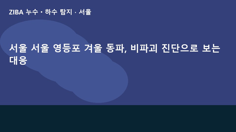 서울 서울 영등포 겨울 동파, 비파괴 진단으로 보는 대응
