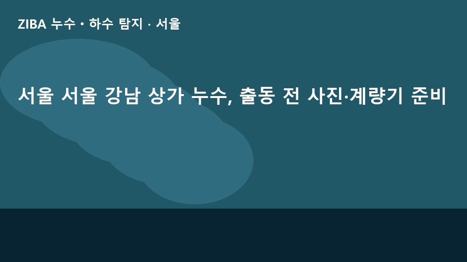 서울 서울 강남 상가 누수, 출동 전 사진·계량기 준비