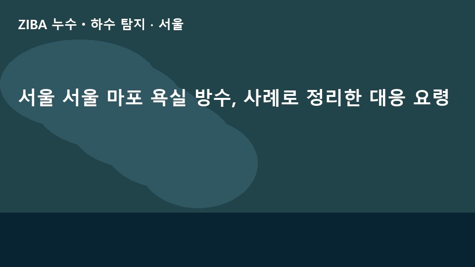 서울 서울 마포 욕실 방수, 사례로 정리한 대응 요령