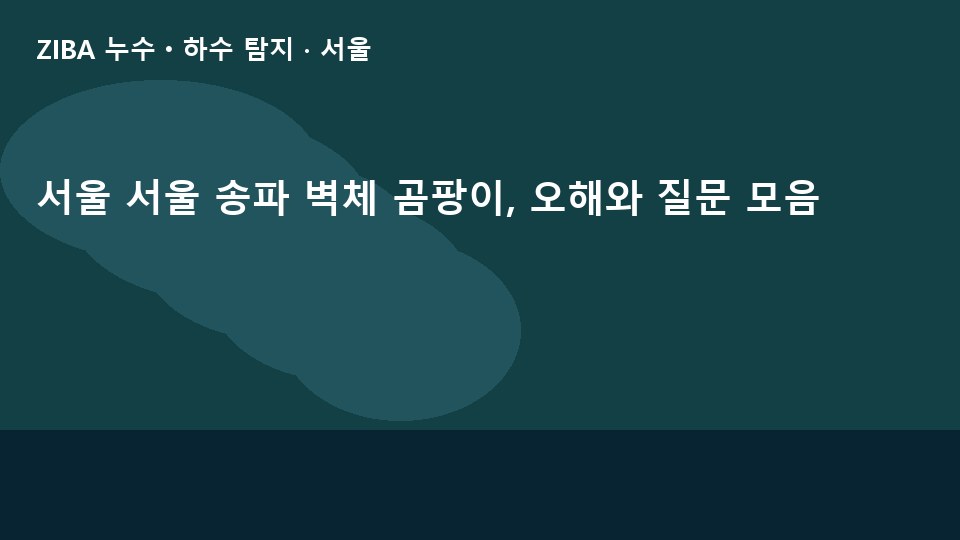 서울 서울 송파 벽체 곰팡이, 오해와 질문 모음