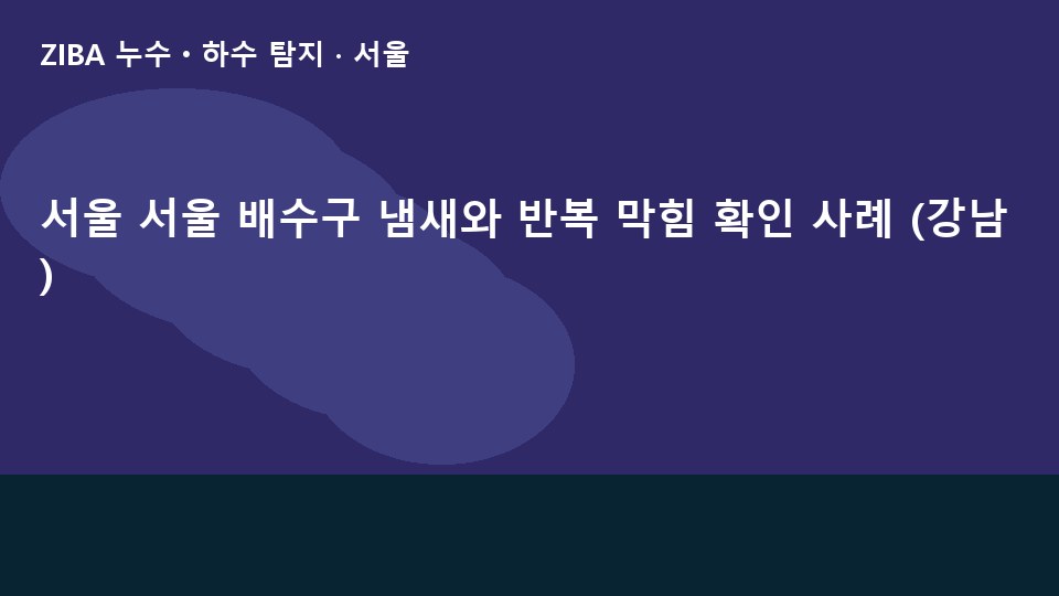 서울 서울 배수구 냄새와 반복 막힘 확인 사례 (강남)