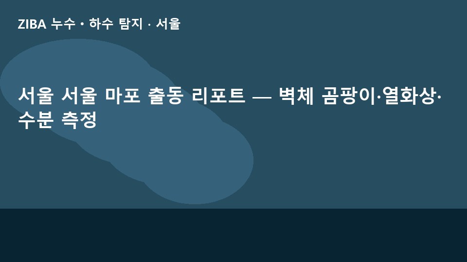 서울 서울 마포 출동 리포트 — 벽체 곰팡이·열화상·수분 측정