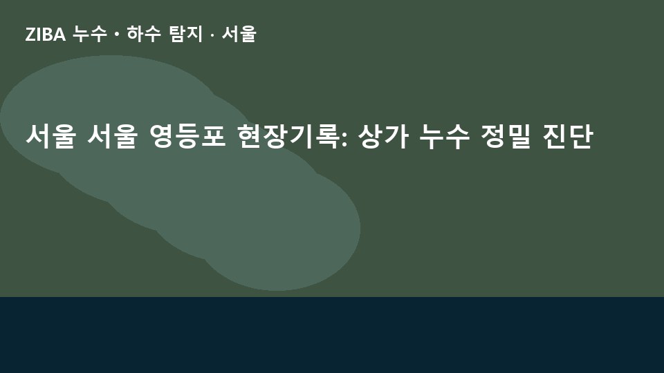 서울 서울 영등포 현장기록: 상가 누수 정밀 진단