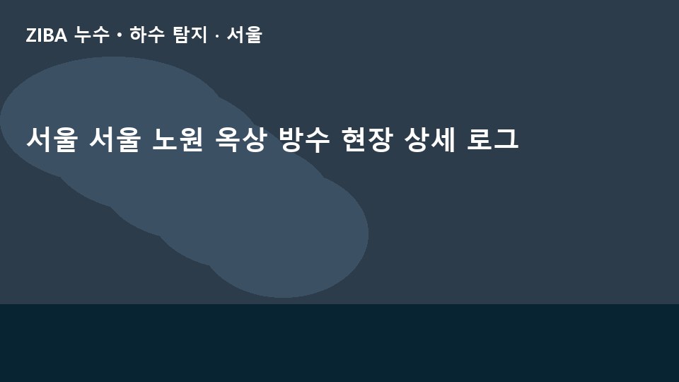 서울 서울 노원 옥상 방수 현장 상세 로그