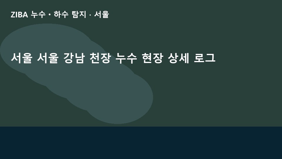 서울 서울 강남 천장 누수 현장 상세 로그