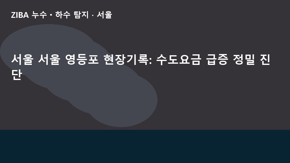 서울 서울 영등포 현장기록: 수도요금 급증 정밀 진단