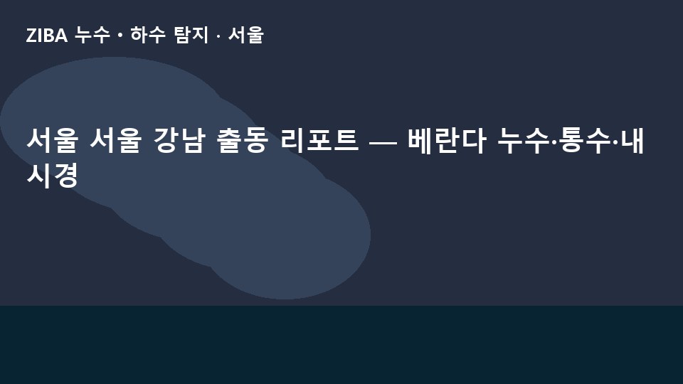 서울 서울 강남 출동 리포트 — 베란다 누수·통수·내시경